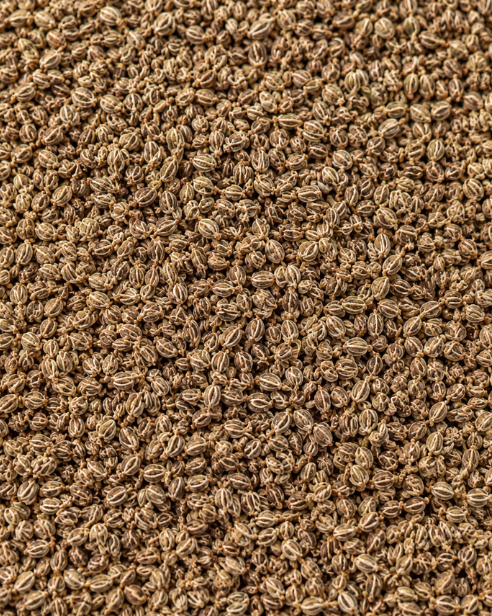 Ajwain