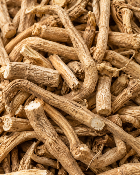 Ashwagandha Root