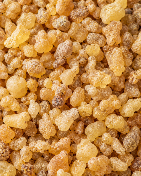 Boswellia Oleoresin