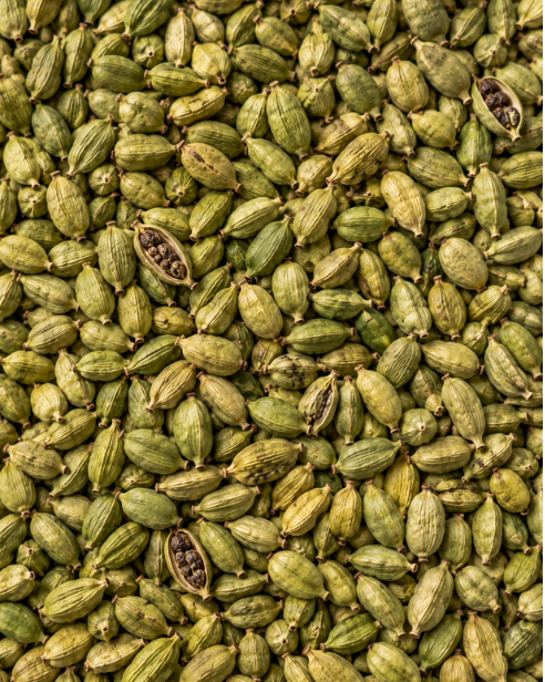 Cardamom