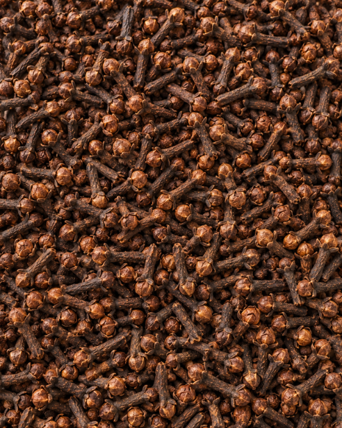 Clove Flower Bud