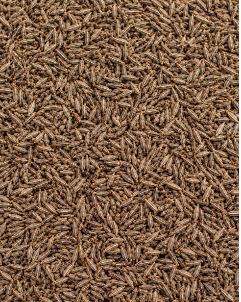 Cumin