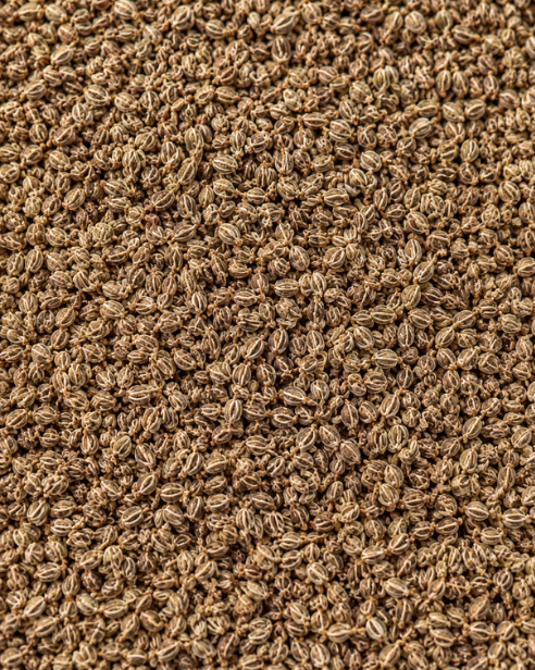 Dill Seed