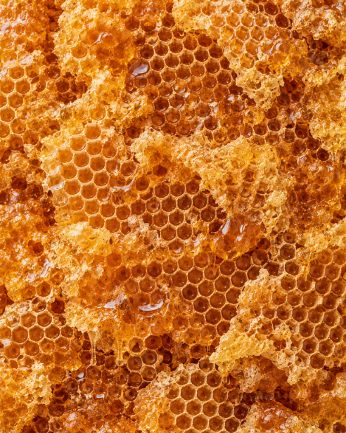 Honey