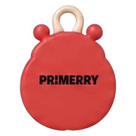 Ladybug Charm - Lucky