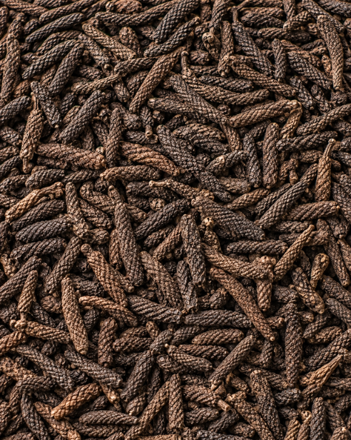 Long Pepper