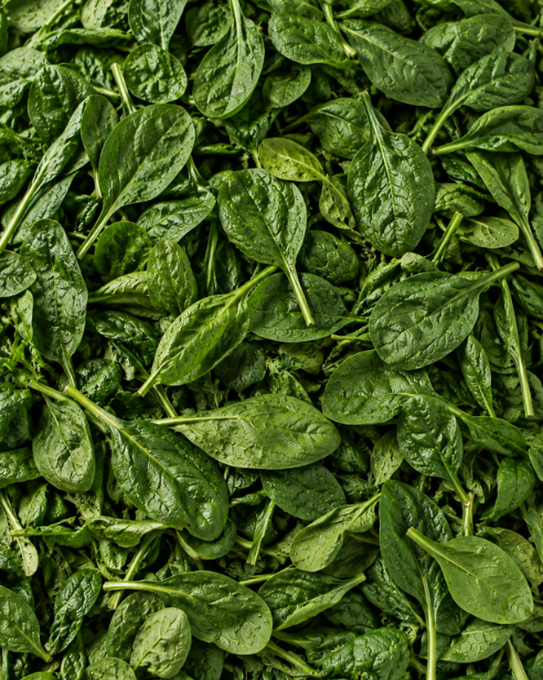 Spinach